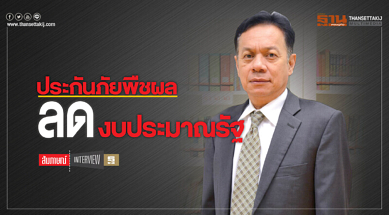 ประกันภัยพืชผล ลดงบประมาณ รัฐเสริมความมั่นใจเกษตรกร ประกันภัยพืชผล ลดงบประมาณ รัฐเสริมความมั่นใจเกษตรกร