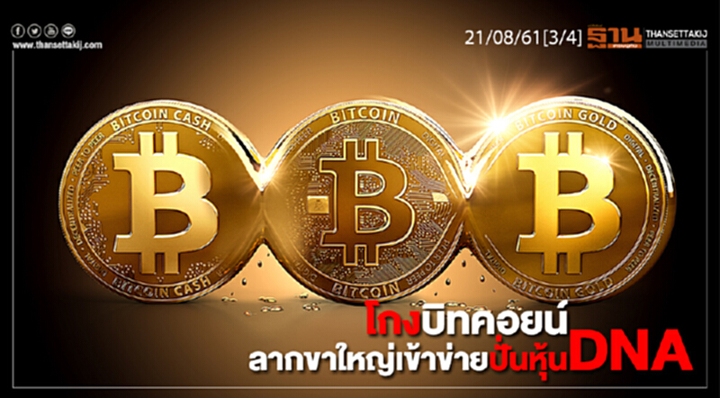 ชั่วโมงฐานเศรษฐกิจ : โกงบิทคอยน์ลากขาใหญ่เข้าข่ายปั่นหุ้น DNA ชั่วโมงฐานเศรษฐกิจ : โกงบิทคอยน์ลากขาใหญ่เข้าข่ายปั่นหุ้น DNA