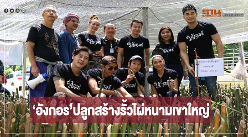 'อังกอร์' ปลูกสร้างรั้วไผ่หนามเขาใหญ่ ป้องกันสัตว์ 'อังกอร์' ปลูกสร้างรั้วไผ่หนามเขาใหญ่ ป้องกันสัตว์