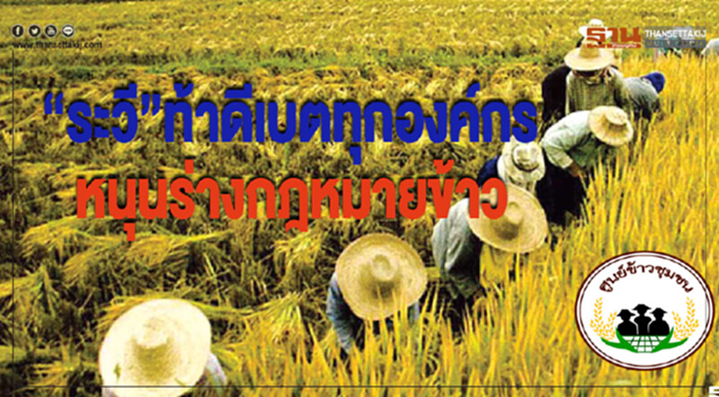"ระวี" ท้าดีเบต! หนุนร่างกฎหมายข้าว "ระวี" ท้าดีเบต! หนุนร่างกฎหมายข้าว