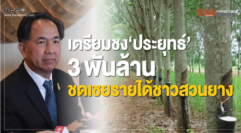 เตรียม ชง”ประยุทธ์” 3 พันล้านชดเชยรายได้ชาวสวนยาง เตรียม ชง”ประยุทธ์” 3 พันล้านชดเชยรายได้ชาวสวนยาง