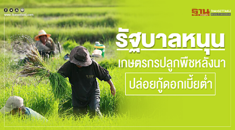รัฐบาลหนุนเกษตรกรปลูกพืชหลังนา-ปล่อยกู้ดอกเบี้ยต่ำ รัฐบาลหนุนเกษตรกรปลูกพืชหลังนา-ปล่อยกู้ดอกเบี้ยต่ำ