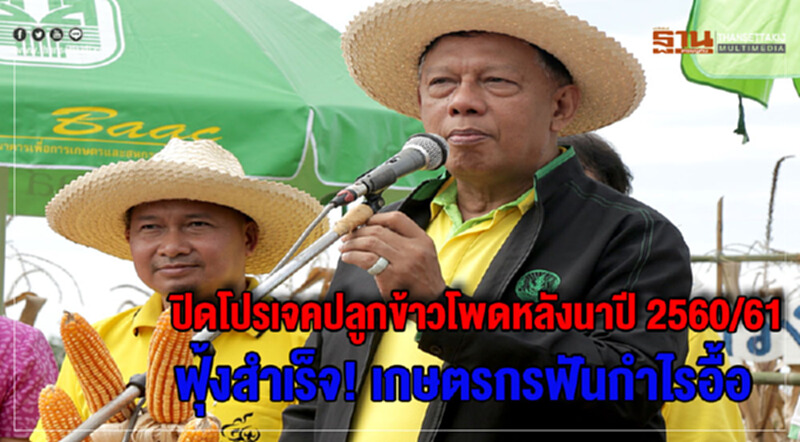 ประกาศปิดโปรเจค 'ข้าวโพด' หลังนา ปี 60/61 ฟุ้งสำเร็จ! เกษตรกรฟันกำไรอื้อ ประกาศปิดโปรเจค 'ข้าวโพด' หลังนา ปี 60/61 ฟุ้งสำเร็จ! เกษตรกรฟันกำไรอื้อ