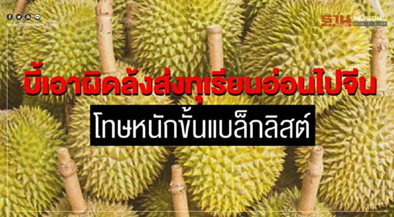 บี้เอาผิด! ล้งส่ง "ทุเรียนอ่อน" ไปจีน หวั่นตลาดใหญ่สุดสะเทือน บี้เอาผิด! ล้งส่ง "ทุเรียนอ่อน" ไปจีน หวั่นตลาดใหญ่สุดสะเทือน