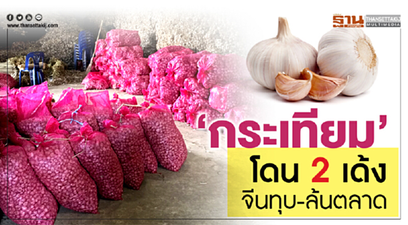 "กระเทียม" โดน 2 เด้งจีนทุบ-ล้นตลาด "กระเทียม" โดน 2 เด้งจีนทุบ-ล้นตลาด