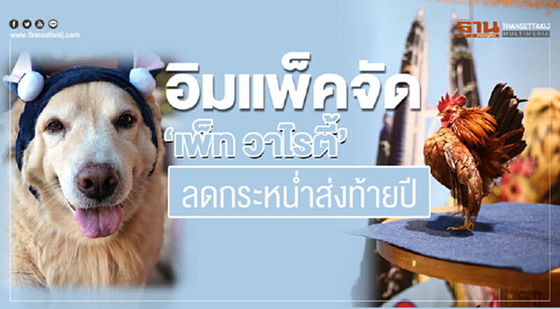 อิมแพ็คจัด "เพ็ท วาไรตี้" ลดกระหน่ำส่งท้ายปี อิมแพ็คจัด "เพ็ท วาไรตี้" ลดกระหน่ำส่งท้ายปี