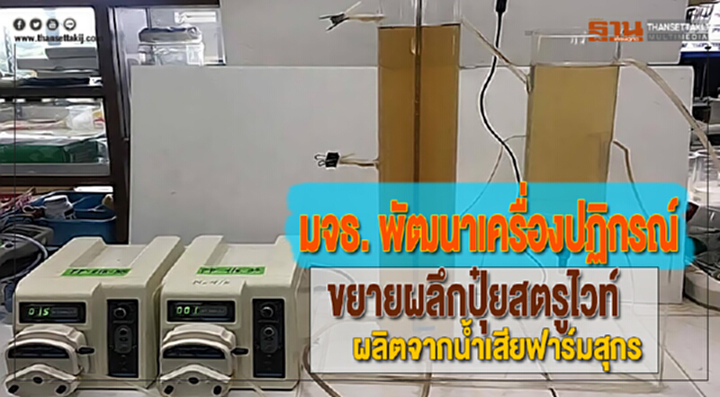 มจธ. พัฒนาเครื่องปฏิกรณ์ขยายผลึกปุ๋ยสตรูไวท์ผลิตจากน้ำเสียฟาร์มสุกร มจธ. พัฒนาเครื่องปฏิกรณ์ขยายผลึกปุ๋ยสตรูไวท์ผลิตจากน้ำเสียฟาร์มสุกร