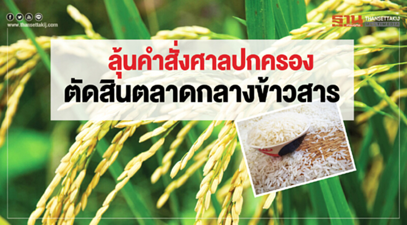 ลุ้นคำสั่งศาลปกครอง ชี้ชะตาตลาดกลางข้าวสาร ลุ้นคำสั่งศาลปกครอง ชี้ชะตาตลาดกลางข้าวสาร