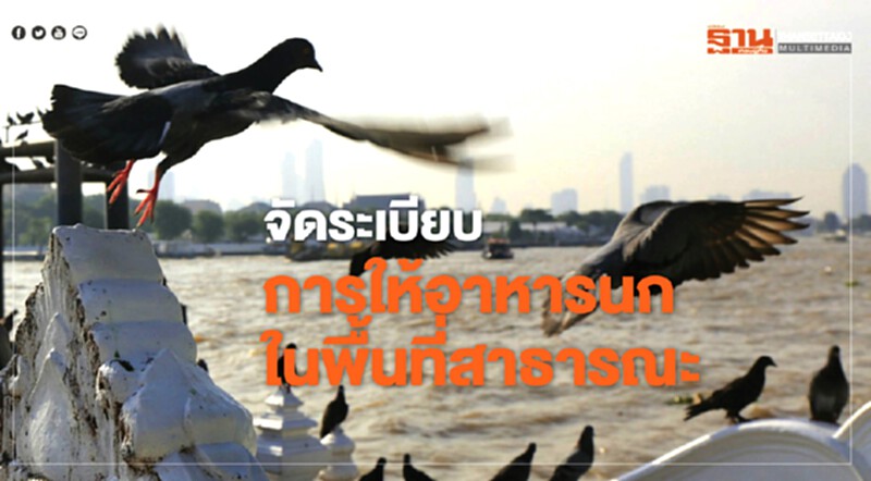 คสช.สั่งจัดระเบียบการให้อาหารนกในพื้นที่สาธารณะ คสช.สั่งจัดระเบียบการให้อาหารนกในพื้นที่สาธารณะ