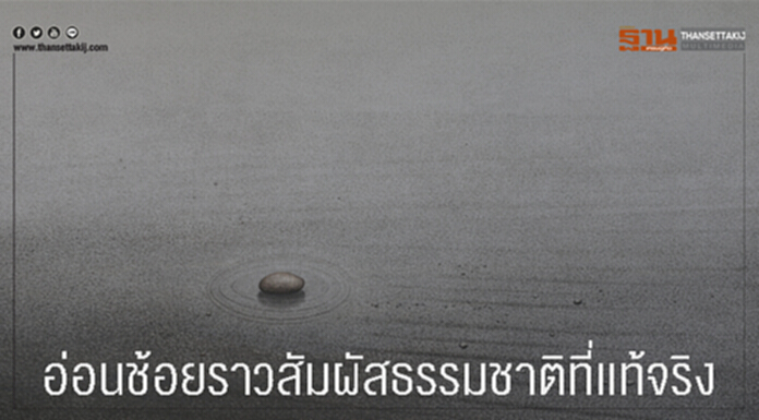 "อ่อนช้อยราวสัมผัสธรรมชาติที่เเท้จริง" "อ่อนช้อยราวสัมผัสธรรมชาติที่เเท้จริง"
