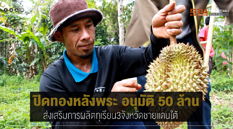 "ปิดทองหลังพระ" อนุมัติ 50 ล้าน!! ส่งเสริมการผลิต 'ทุเรียน' 3 จังหวัดชายแดนใต้