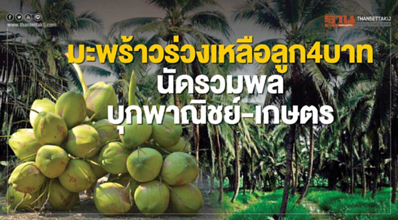 'มะพร้าว' ร่วงเหลือลูก 4 บาท!! ห้ามนำเข้า 3 เดือน ไม่ช่วยดันราคา นัดรวมพลบุกพาณิชย์-เกษตร "สนธิรัตน์" ขอเวลาแก้ 'มะพร้าว' ร่วงเหลือลูก 4 บาท!! ห้ามนำเข้า 3 เดือน ไม่ช่วยดันราคา นัดรวมพลบุกพาณิชย์-เกษตร "สนธิรัตน์" ขอเวลาแก้