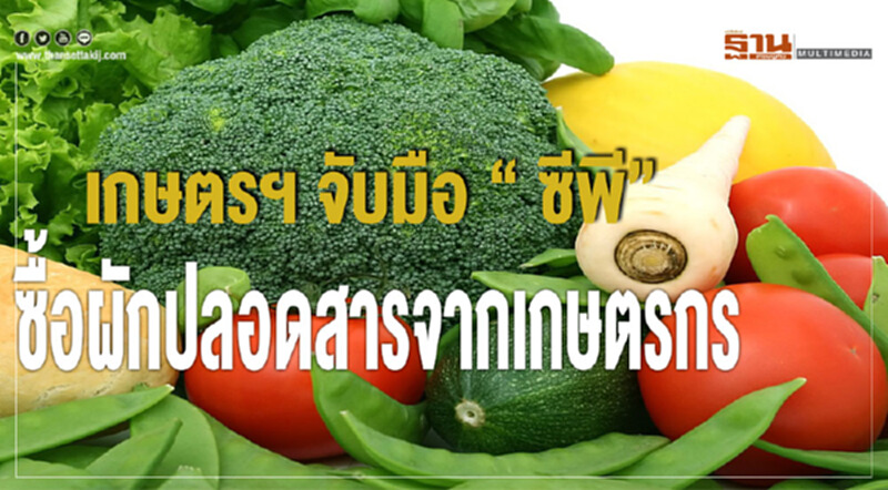 เกษตรฯ จับมือ 'ซีพี' ซื้อผักปลอดสารจากเกษตรกร เกษตรฯ จับมือ 'ซีพี' ซื้อผักปลอดสารจากเกษตรกร
