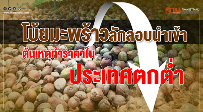 โทษ 'มะพร้าว' ลักลอบนำเข้า! ต้นเหตุทำราคาในประเทศร่วง โทษ 'มะพร้าว' ลักลอบนำเข้า! ต้นเหตุทำราคาในประเทศร่วง