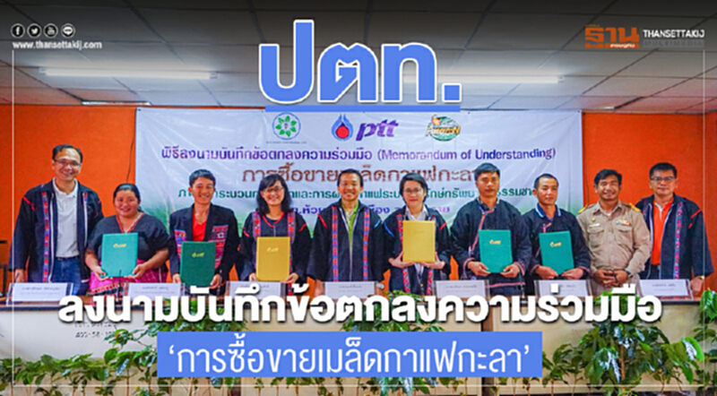 ปตท.ขยายพื้นที่โครงการจัดหาเมล็ดกาแฟจากชุมชน ปตท.ขยายพื้นที่โครงการจัดหาเมล็ดกาแฟจากชุมชน