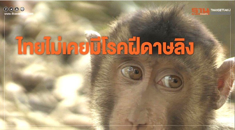 กรมควบคุมโรค ยืนยันไทยไม่เคยมีรายงานผู้ติดเชื้อโรคฝีดาษลิง