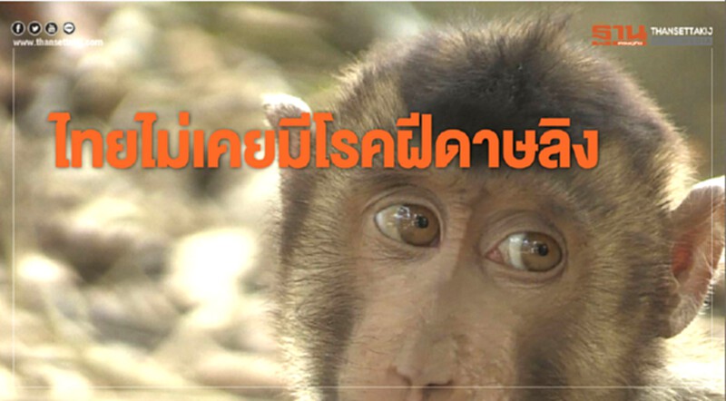 กรมควบคุมโรค ยืนยันไทยไม่เคยมีรายงานผู้ติดเชื้อโรคฝีดาษลิง กรมควบคุมโรค ยืนยันไทยไม่เคยมีรายงานผู้ติดเชื้อโรคฝีดาษลิง