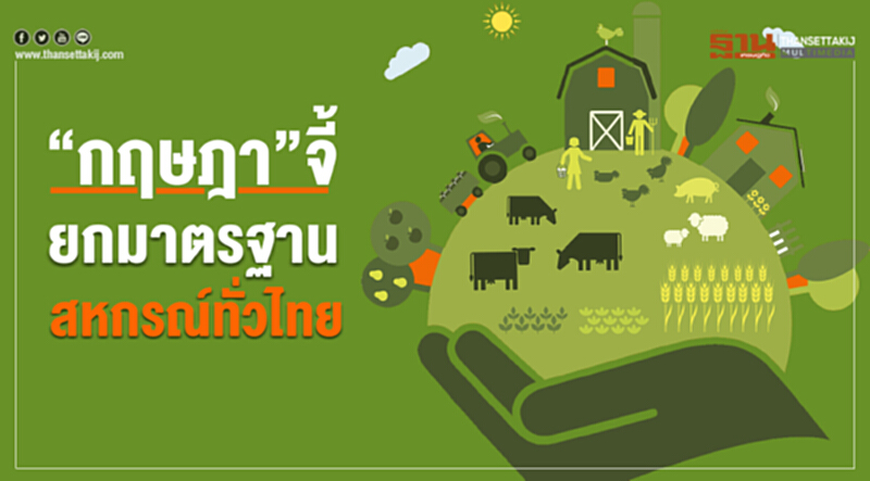 "กฤษฎา" จี้! ยกมาตรฐาน 'สหกรณ์' ทั่วไทย ดันตลาดนำการผลิต-ดึงคนรุ่นใหม่ร่วมวง "กฤษฎา" จี้! ยกมาตรฐาน 'สหกรณ์' ทั่วไทย ดันตลาดนำการผลิต-ดึงคนรุ่นใหม่ร่วมวง