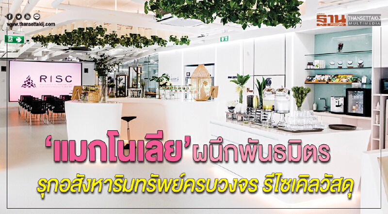 'แมกโนเลีย' ผนึกพันธมิตร! รุกอสังหาริมทรัพย์ครบวงจร รีไซเคิลวัสดุ