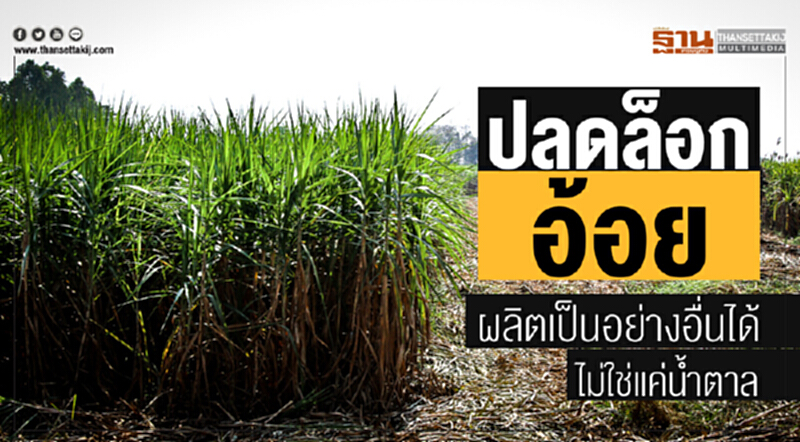 ครม. ปลดล็อก "อ้อย" ผลิตเป็นอย่างอื่นได้ ไม่ใช่แค่น้ำตาล ครม. ปลดล็อก "อ้อย" ผลิตเป็นอย่างอื่นได้ ไม่ใช่แค่น้ำตาล