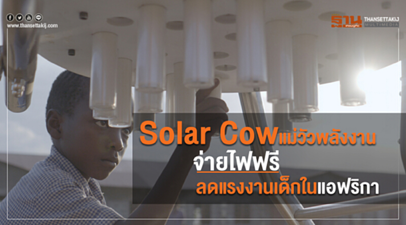 Solar Cow แม่วัวพลังงานจ่ายไฟฟรีลดแรงงานเด็กในแอฟริกา Solar Cow แม่วัวพลังงานจ่ายไฟฟรีลดแรงงานเด็กในแอฟริกา