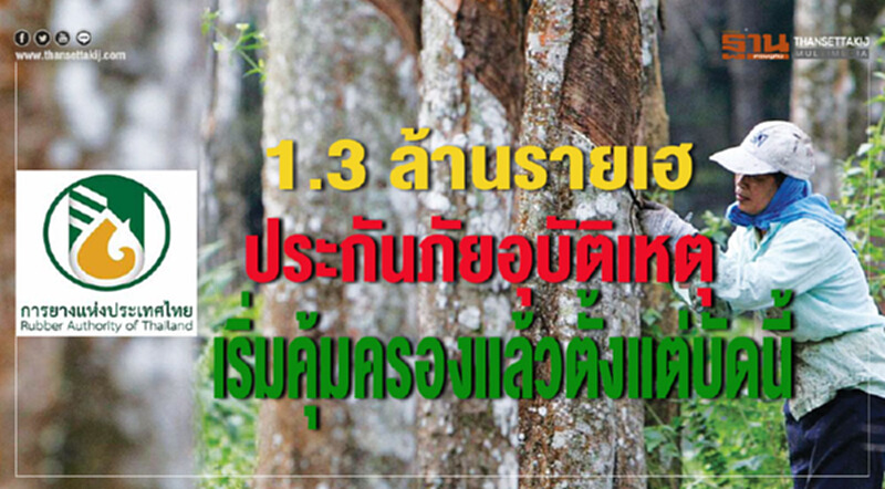 1.3 ล้านรายเฮ ประกันภัยอุบัติเหตุกลุ่มแก่เกษตรกรชาวสวนยาง เริ่มคุ้มครองแล้วตั้งแต่บัดนี้ 1.3 ล้านรายเฮ ประกันภัยอุบัติเหตุกลุ่มแก่เกษตรกรชาวสวนยาง เริ่มคุ้มครองแล้วตั้งแต่บัดนี้