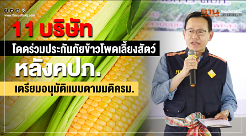 11 บริษัทโดดร่วมประกันภัยข้าวโพดเลี้ยงสัตว์ หลังคปภ. เตรียมอนุมัติแบบตามมติครม. 11 บริษัทโดดร่วมประกันภัยข้าวโพดเลี้ยงสัตว์ หลังคปภ. เตรียมอนุมัติแบบตามมติครม.