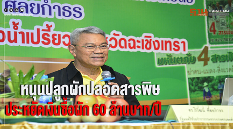 หนุนปลูกผักปลอดสารพิษประหยัดเงินซื้อผัก 60 ล้านบาท/ปี หนุนปลูกผักปลอดสารพิษประหยัดเงินซื้อผัก 60 ล้านบาท/ปี