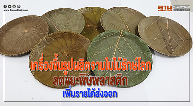 เครื่องขึ้นรูปผลิตจานใบไม้รักษ์โลกลดขยะพิษพลาสติกเพิ่มรายได้ส่งออก เครื่องขึ้นรูปผลิตจานใบไม้รักษ์โลกลดขยะพิษพลาสติกเพิ่มรายได้ส่งออก