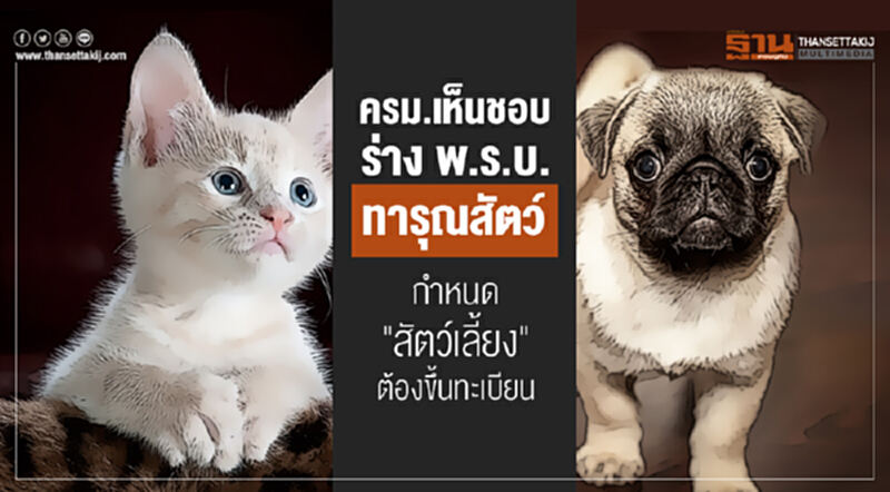ครม. เห็นชอบร่าง พ.ร.บ.ทารุณสัตว์ กำหนด "สัตว์เลี้ยง" ต้องขึ้นทะเบียน ครม. เห็นชอบร่าง พ.ร.บ.ทารุณสัตว์ กำหนด "สัตว์เลี้ยง" ต้องขึ้นทะเบียน