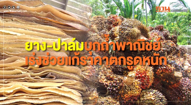 "ยาง-ปาล์ม" บุกถ้ำพาณิชย์! จี้เร่งแก้ปัญหาราคารูดหนัก "ยาง-ปาล์ม" บุกถ้ำพาณิชย์! จี้เร่งแก้ปัญหาราคารูดหนัก