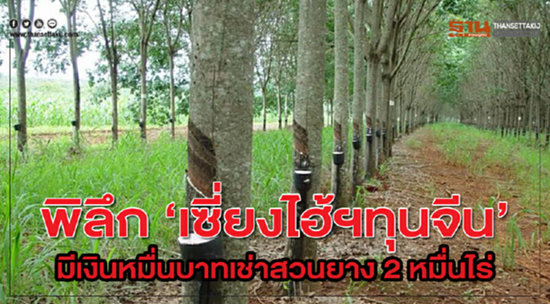 พิลึก "เซี่ยงไฮ้ฯทุนจีน" มีเงินหมื่นบาท เช่าสวนยาง 2 หมื่นไร่!! พิลึก "เซี่ยงไฮ้ฯทุนจีน" มีเงินหมื่นบาท เช่าสวนยาง 2 หมื่นไร่!!