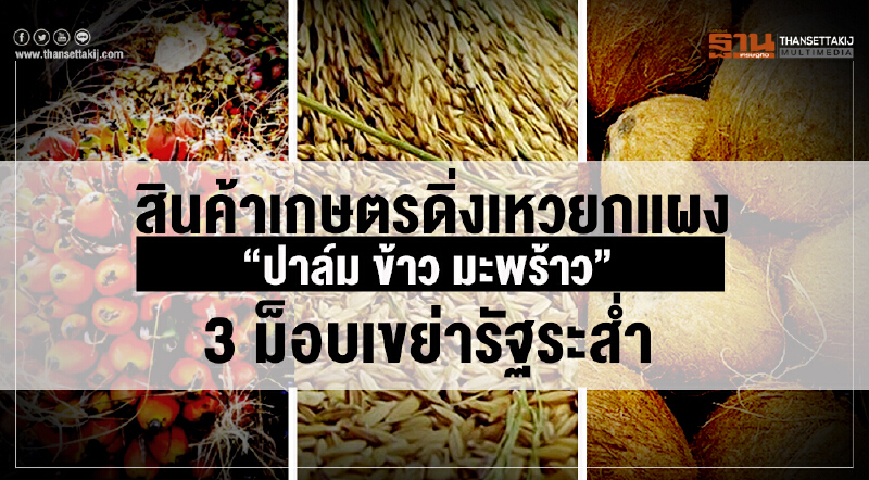 สินค้าเกษตรดิ่งเหวยกแผง! "ปาล์ม-ข้าว-มะพร้าว" 3 ม็อบ เขย่ารัฐระส่ำ