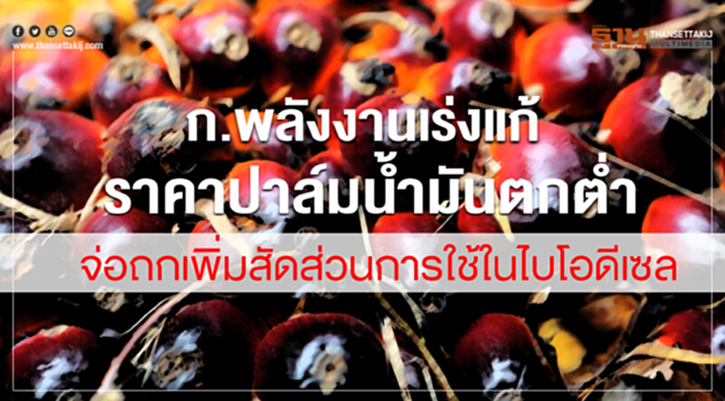 ก.พลังงานเร่งแก้ราคาปาล์มน้ำมันตกต่ำ จ่อถกเพิ่มสัดส่วนการใช้ในไบโอดีเซล ก.พลังงานเร่งแก้ราคาปาล์มน้ำมันตกต่ำ จ่อถกเพิ่มสัดส่วนการใช้ในไบโอดีเซล