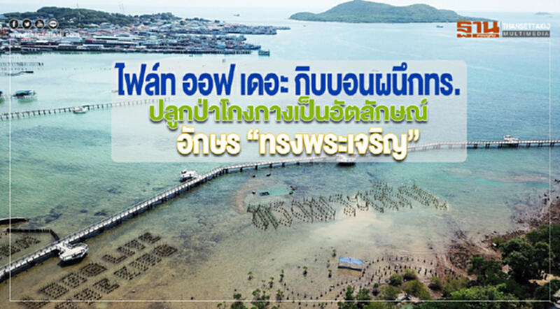 ไฟล์ทออฟเดอะกิบบอนผนึกทร.ปลูกป่าโกงกางเป็นอัตลักษณ์อักษร “ทรงพระเจริญ” ไฟล์ทออฟเดอะกิบบอนผนึกทร.ปลูกป่าโกงกางเป็นอัตลักษณ์อักษร “ทรงพระเจริญ”