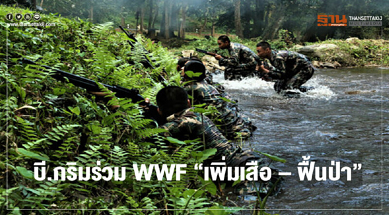 บี.กริม ร่วม WWF "เพิ่มเสือ – ฟื้นป่า" บี.กริม ร่วม WWF "เพิ่มเสือ – ฟื้นป่า"