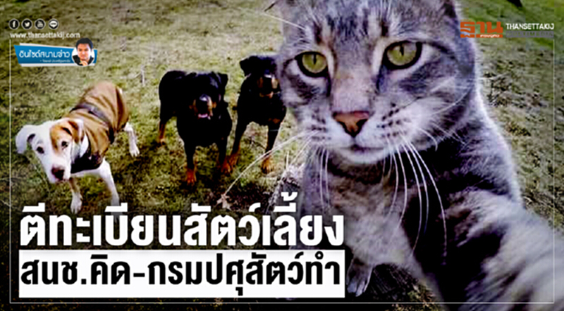 อินไซด์สนามข่าว : ตีทะเบียนสัตว์เลี้ยง สนช.คิด-กรมปศุสัตว์ทำ อินไซด์สนามข่าว : ตีทะเบียนสัตว์เลี้ยง สนช.คิด-กรมปศุสัตว์ทำ