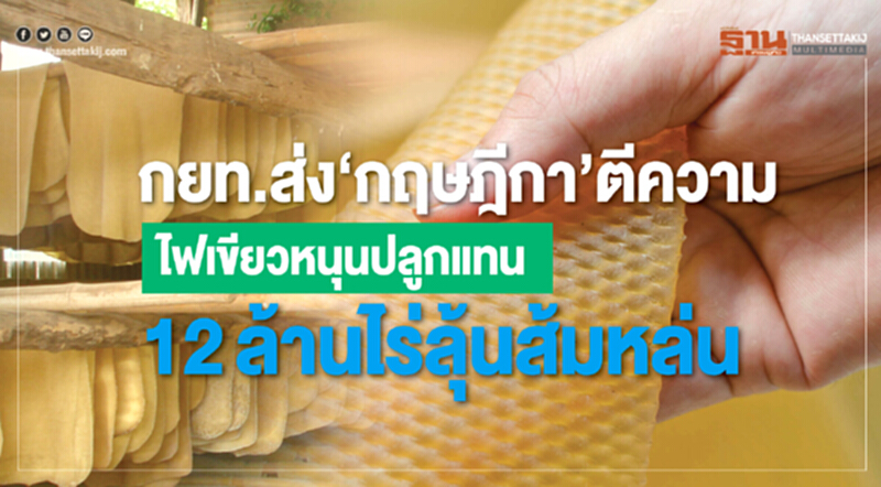 กยท.ส่ง‘กฤษฎีกา’ตีความไฟเขียวหนุนปลูกแทน-12ล้านไร่ลุ้นส้มหล่น กยท.ส่ง‘กฤษฎีกา’ตีความไฟเขียวหนุนปลูกแทน-12ล้านไร่ลุ้นส้มหล่น