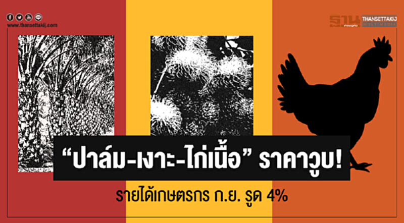"ปาล์ม-เงาะ-ไก่เนื้อ" ราคาวูบ! รายได้เกษตรกร ก.ย. รูด 4% "ปาล์ม-เงาะ-ไก่เนื้อ" ราคาวูบ! รายได้เกษตรกร ก.ย. รูด 4%