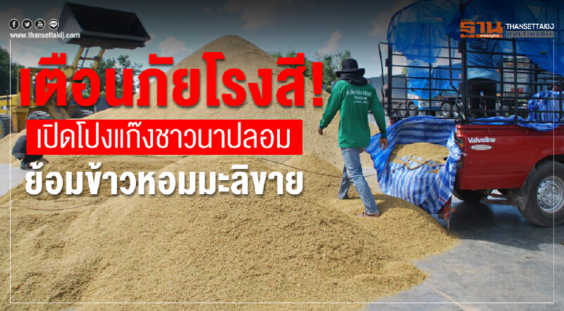 เตือนภัยโรงสี! เปิดโปง "แก๊งชาวนาปลอม" ย้อมข้าวหอมมะลิขาย