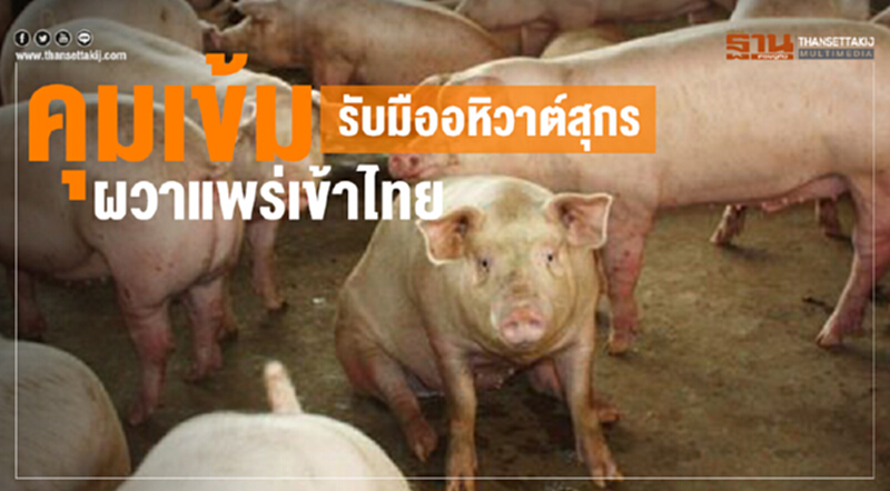 คุมเข้ม! รับมือ "อหิวาต์สุกร" ผวาแพร่เข้าไทย คุมเข้ม! รับมือ "อหิวาต์สุกร" ผวาแพร่เข้าไทย