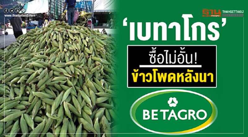 'เบทาโกร' ซื้อไม่อั้น! "ข้าวโพดหลังนา" 'เบทาโกร' ซื้อไม่อั้น! "ข้าวโพดหลังนา"