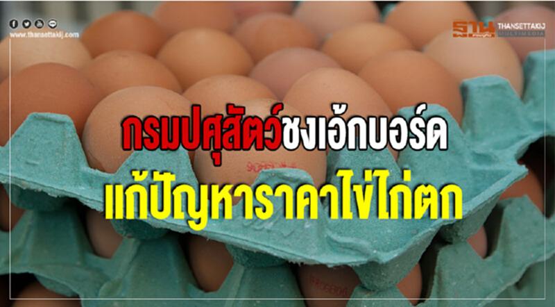 กรมปศุสัตว์ชงเอ้กบอร์ดแก้ปัญหาราคาไข่ไก่ตก กรมปศุสัตว์ชงเอ้กบอร์ดแก้ปัญหาราคาไข่ไก่ตก