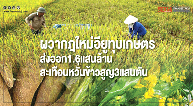 ผวา "กฎใหม่อียู" ทุบเกษตร! ส่งออก 1.6 แสนล้านสะเทือน หวั่นข้าวสูญ 3 แสนตัน ผวา "กฎใหม่อียู" ทุบเกษตร! ส่งออก 1.6 แสนล้านสะเทือน หวั่นข้าวสูญ 3 แสนตัน