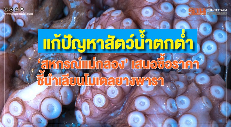 แก้ปัญหาสัตว์น้ำตกต่ำ! "สหกรณ์แม่กลอง" เสนอซื้อนำราคา ชี้! เลียนโมเดลยางพารา