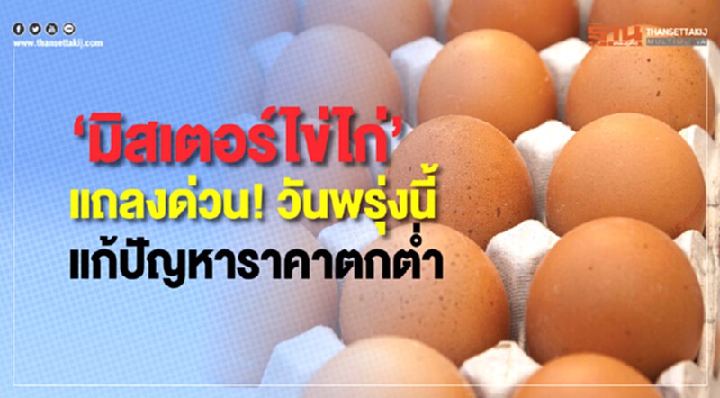"มิสเตอร์ไข่ไก่" แถลงด่วน! วันพรุ่งนี้ แก้ปัญหาราคาตกต่ำ "มิสเตอร์ไข่ไก่" แถลงด่วน! วันพรุ่งนี้ แก้ปัญหาราคาตกต่ำ