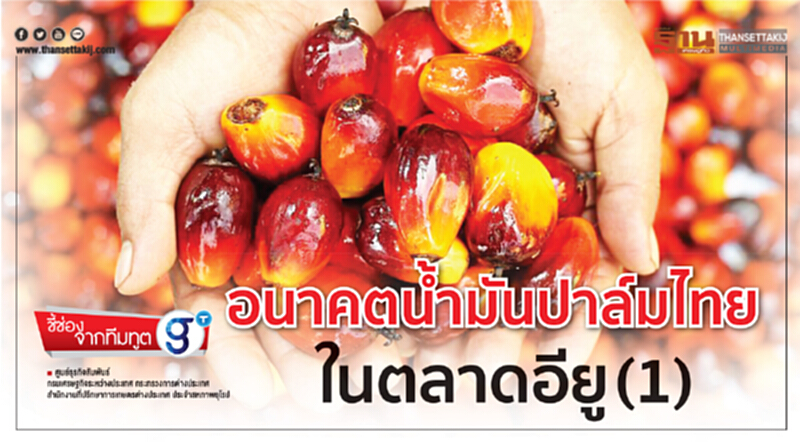 อนาคตนํ้ามันปาล์มไทยในตลาดอียู(1) อนาคตนํ้ามันปาล์มไทยในตลาดอียู(1)