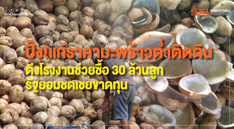 ปิ๊ง! แก้ราคามะพร้าวต่ำติดดิน ดึงโรงงานช่วยซื้อ 30 ล้านลูก ยอมชดเชยขาดทุน ปิ๊ง! แก้ราคามะพร้าวต่ำติดดิน ดึงโรงงานช่วยซื้อ 30 ล้านลูก ยอมชดเชยขาดทุน