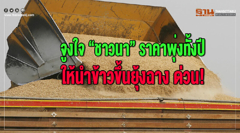 จูงใจ "ชาวนา" ราคาพุ่งทั้งปี! ให้นำข้าวขึ้นยุ้งฉาง ด่วน! จูงใจ "ชาวนา" ราคาพุ่งทั้งปี! ให้นำข้าวขึ้นยุ้งฉาง ด่วน!