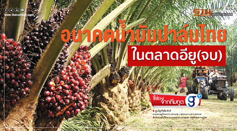 อนาคตนํ้ามันปาล์มไทยในตลาดอียู (จบ) อนาคตนํ้ามันปาล์มไทยในตลาดอียู (จบ)
